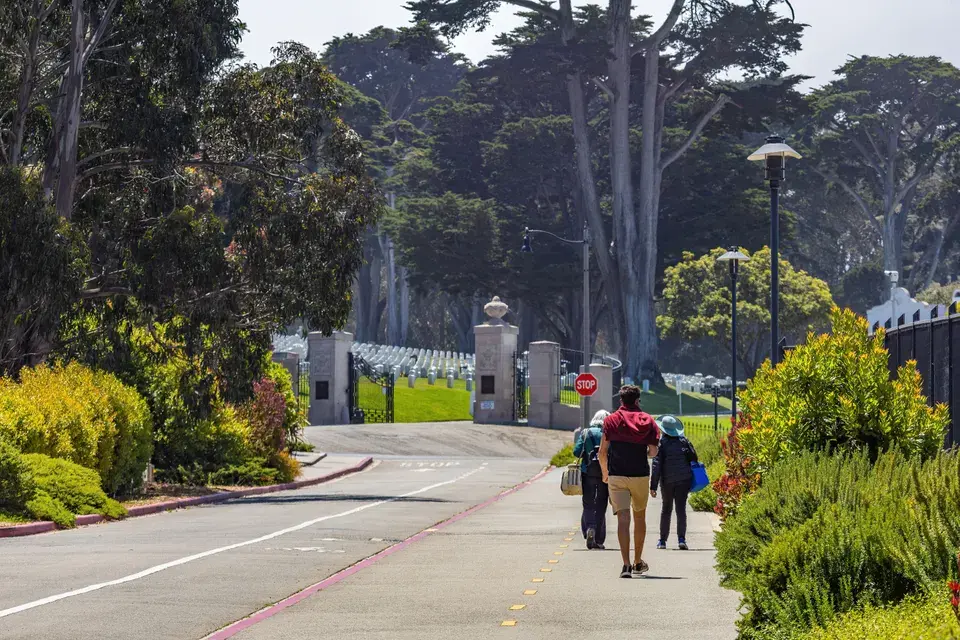 Sweet Home, Oregon's Unique Mold Challenges — Sweet Home, OR